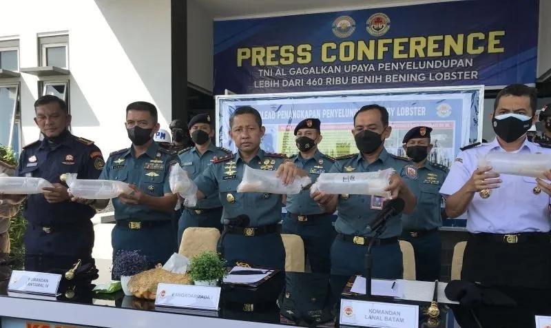 TNI AL Berhasil Gagalkan Penyelundupan 466.000 Benur Lobster