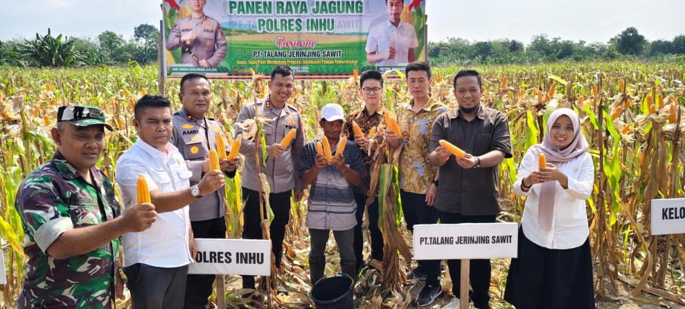 Bersama Petani dan PT TJS, Polres Inhu Panen Jagung 5 Ton: Ini Tentang Kesejahteraan Bersama