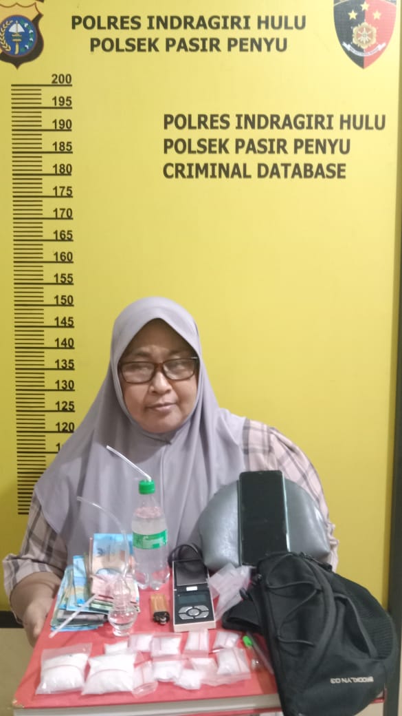 Emak-emak Diringkus Polisi Kedapatan Menyimpan Narkoba 84,64 Gram