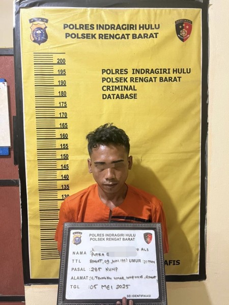 Pemuda di Inhu Rudapaksa Ibu Rumah Tangga di Depan Anak, Polisi Bergerak Cepat Ringkus Pelaku