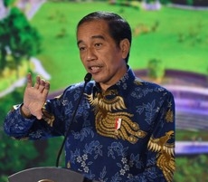 Jokowi Beber Tahap Pertama Pembangunan IKN: Reboisasi Hutan