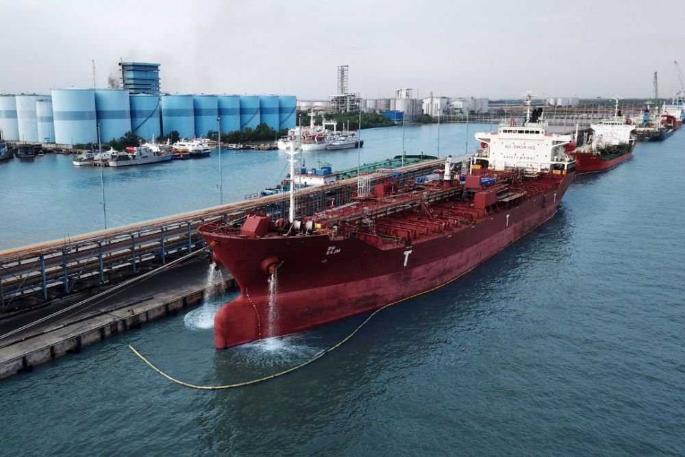 Harga Sawit Turun, Ini Penyebab Harga CPO Anjlok