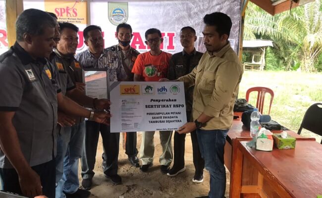 Petani Sawit Swadaya Anggota SPKS Di Riau Peroleh Sertifikat RSPO