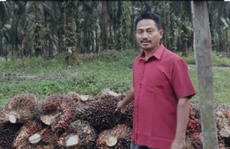 Soal Bursa CPO, Ketua Aspek-PIR: Kalau Niatnya Baik untuk Petani Pasti akan Diluncurkan Pemerintah