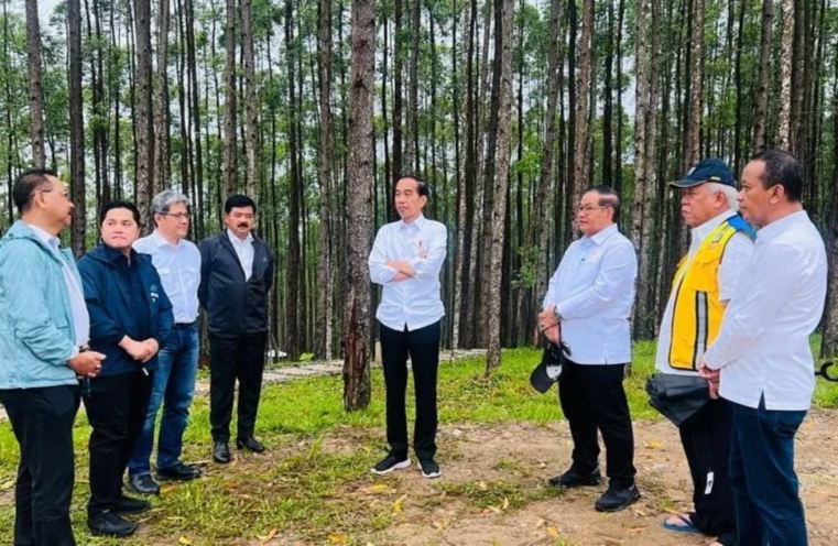 Presiden Jokowi Nikmati Suasana Pagi di IKN Nusantara