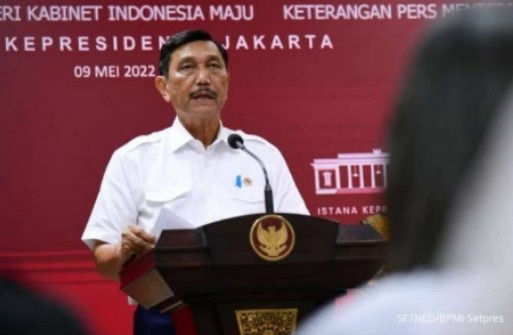 Luhut Upayakan Jalan Tengah Masalah Minyak Goreng
