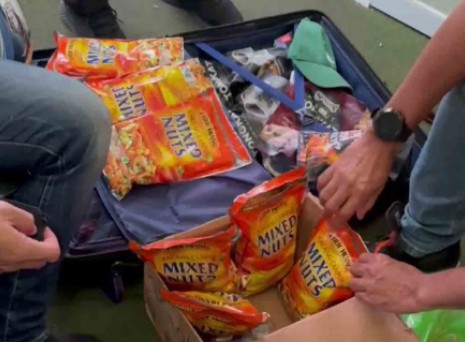 Selundupkan 19.516 Butir Pil Ekstasi dengan Modus Kacang Campur, Penumpang Kapal dari Malaysia Diamankan