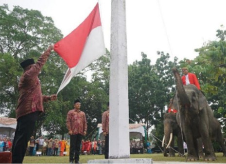 Tiga Gajah Sumatera Jadi Penggerek Bendera Pada Upacara HUT RI ke-78 di ...