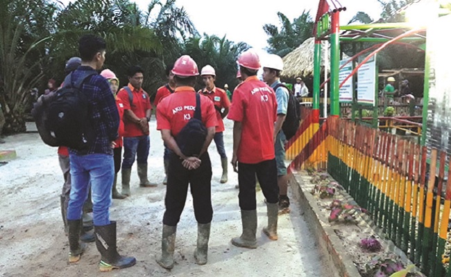 Cara Mengelola Kelompok Kerja di Kebun Sawit