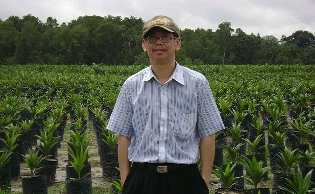 Mengenal Maruli Pardamean, Si Penulis 8 Buku Kelapa Sawit