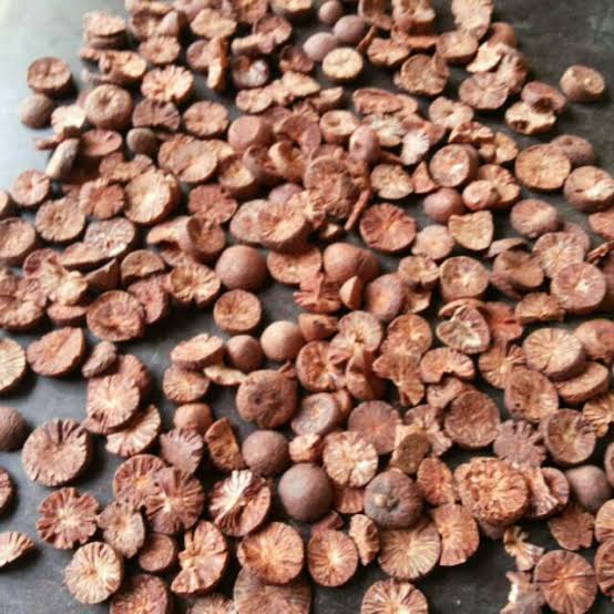 Petani Harus Sabar, Harga Pinang Kering Riau Lagi Turun Jadi Rp13.710 per Kg