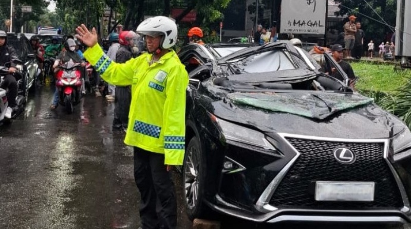 Mobil Lexus Tertimpa Pohon Tumbang, Pengemudi Tewas