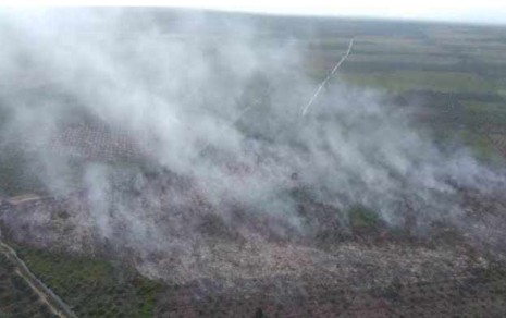 351 Hotspot Terdeteksi di Sumatera, 82 di Riau, Terbanyak di Inhu