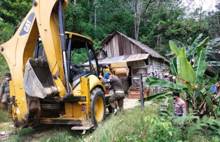 Tim Gabungan Bongkar Bangunan Liar di Hutan Lindung Bukit Betabuh