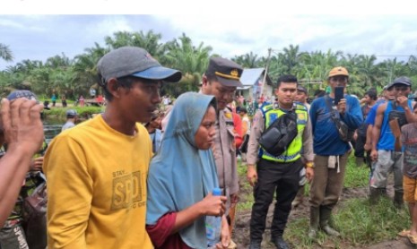 Warga Siak Disembunyikan Orang Bunian Saat Cari Berondolan Sawit, Ditemukan Lemas Setelah 3 Hari