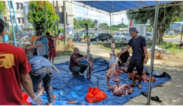 JMSI dan PWI Babel Berqurban 4 Sapi dan 4 Kambing