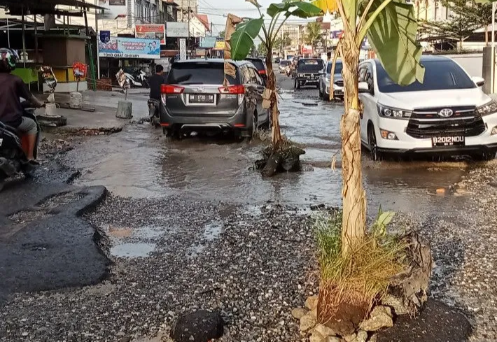 Tak Kunjung diperbaiki, Warga Tanam Dua Pisang di Jalan Dharma Bhakti Pekanbaru