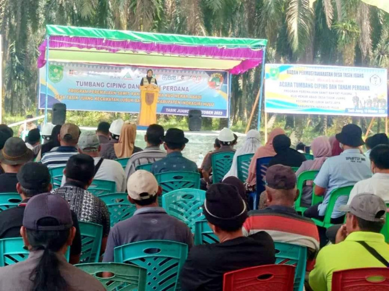 Tanam Perdana Program PSR, Rezita : Semoga Produksi Sawit Inhu Berkualitas