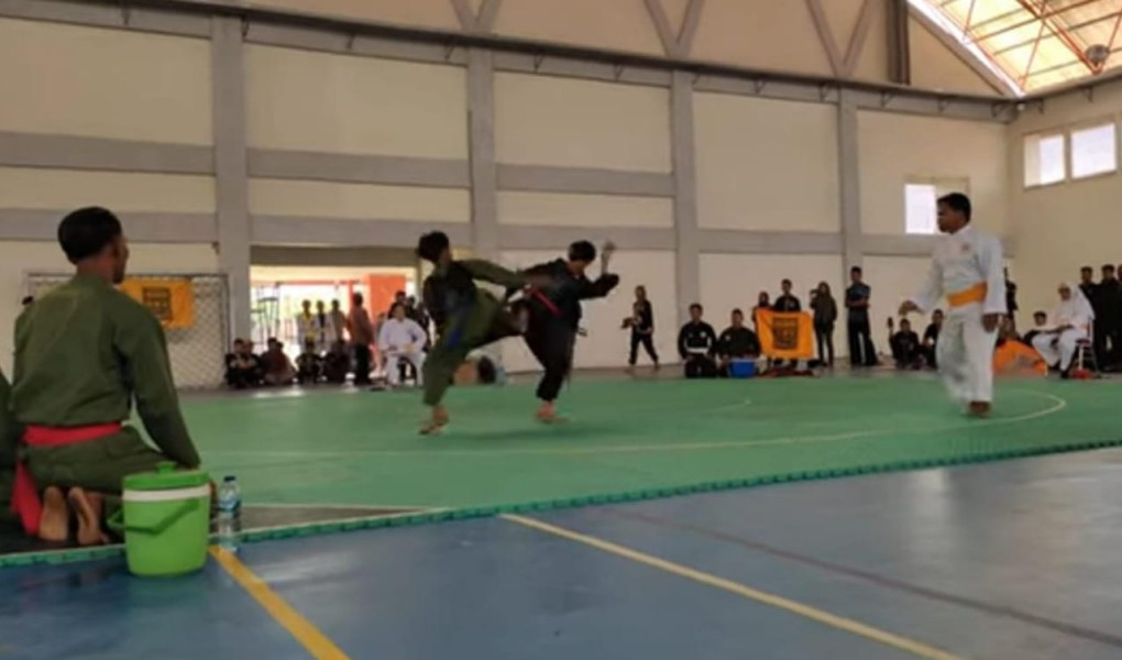 Warisan Dunia Tak Benda, Benarkah Pencak Silat Dilarang di MMA ?