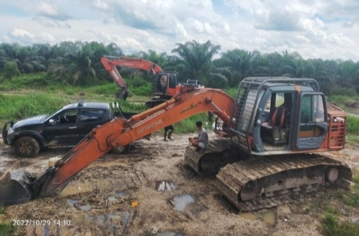 Cabup 2020 Siti Aisyah Cs Dilaporkan Dugaan Pencurian TBS dan Pengrusakan Kebun Sawit