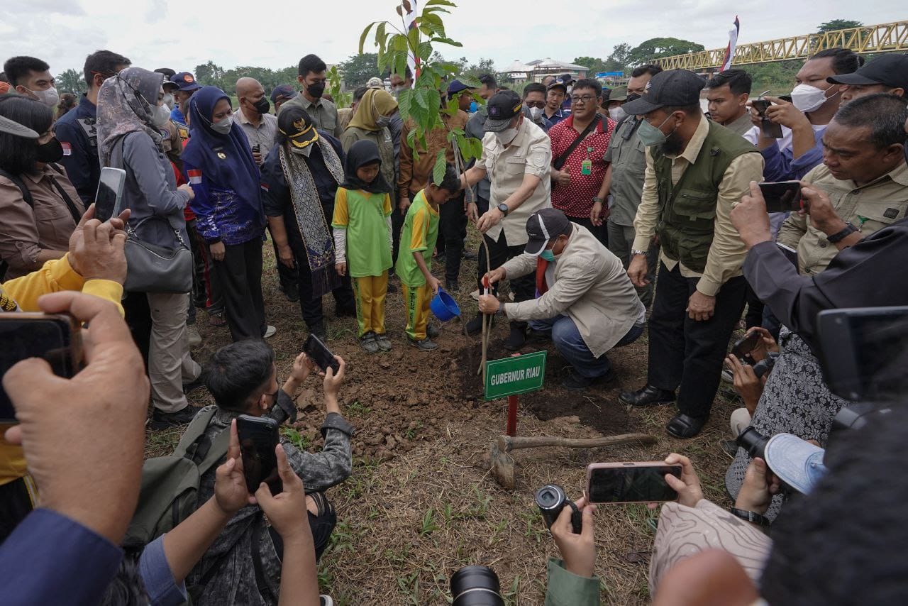 Cegah Abrasi, Gubri dan Menteri LHK Tanam Pohon di Tepian DAS Indragiri