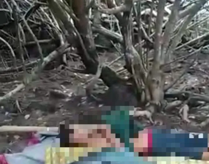 Innalilahi, Penebang Kayu Asal Meranti Ini Tewas Diterkam Harimau di Siak