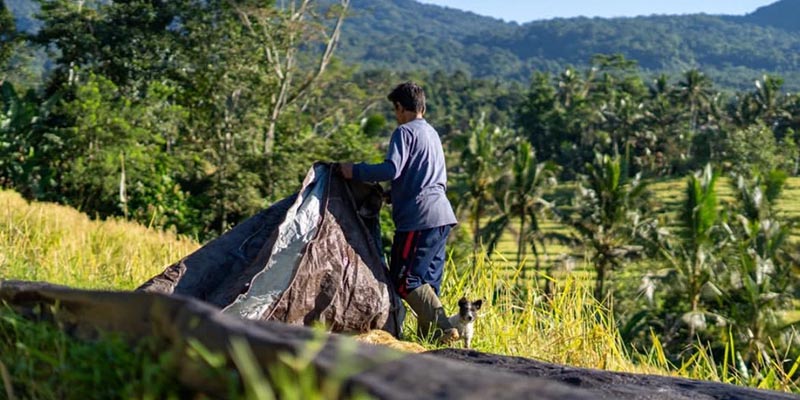Irigasi Rusak, Ratusan Hektare Sawah di Jatiluwih Terancam Kering
