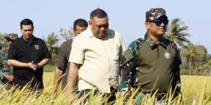Dirjen PSP Kementan Andi Nur Alamsyah Dipanggil KPK