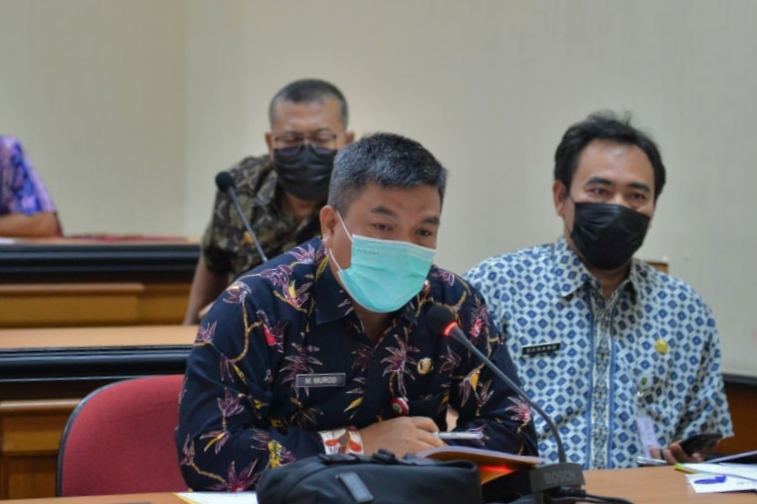 Jadikan Sentral Aren, Pemprov Riau Beri Bantuan 10.000 Bibit ke Rohul