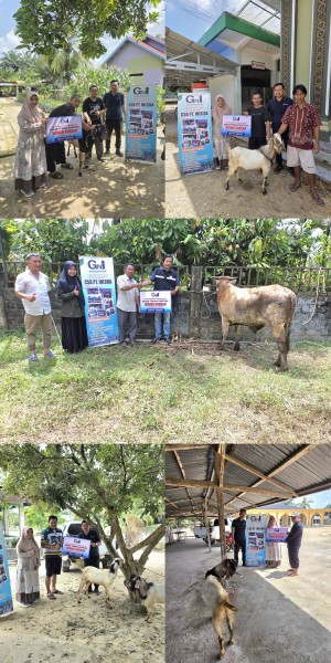 PT Inecda Salurkan 19 Hewan Kurban untuk 11 Desa dan 1 Kelurahan di Inhu