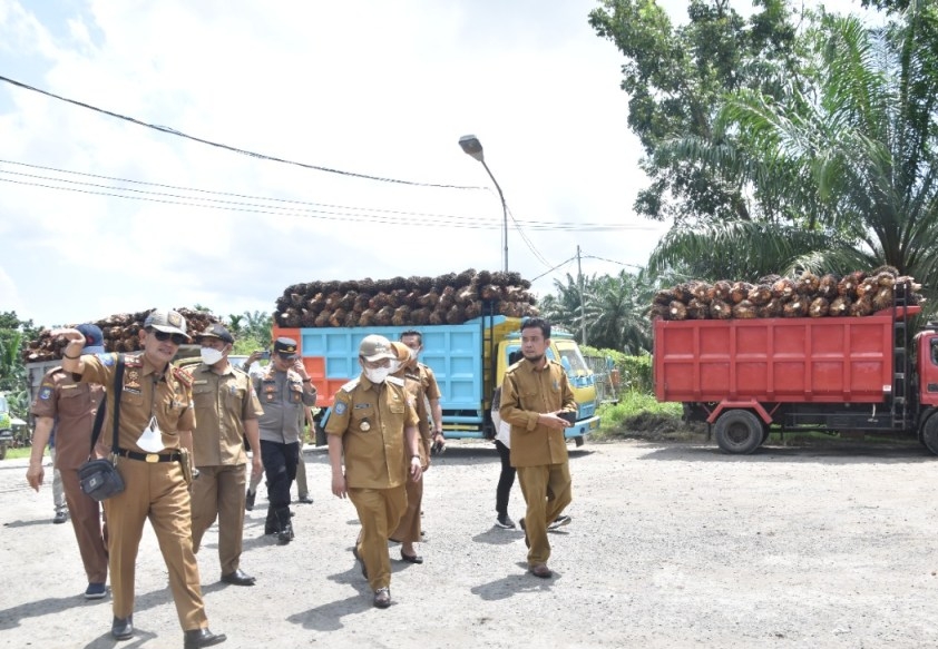 Tangki Penuh, Pabrik CPO di Bengkulu Bisa Stop Beli Sawit