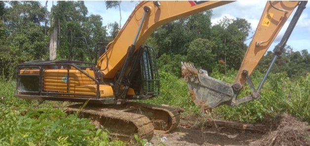 Sudah ada Saling Lapor ke pada Penegak Hukum Masih Berani Bukak Kebun di Hutan Lindung