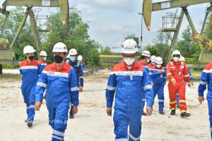 Ribuan Barel Cadangan Minyak Ditemukan di Riau