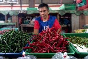Harga Komoditas Strategis yang Perlu Diwaspadai Saat Akhir Tahun 2022