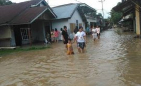 Banjir di Riau Mulai Surut, Sisakan Sedikit di Pelalawan, Indragiri Hulu dan Bengkalis