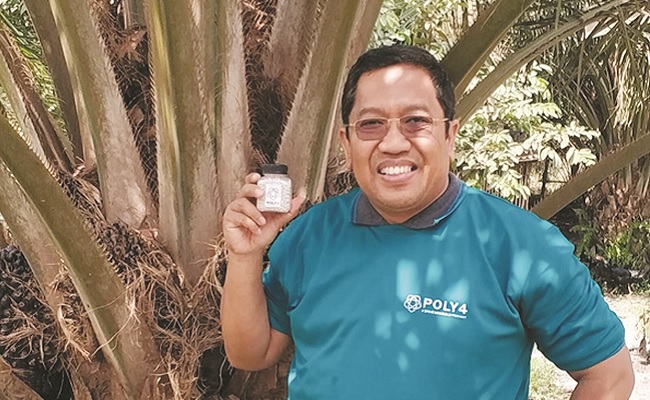 Memilih Pupuk yang Tepat Supaya Produksi Sawit Meningkat
