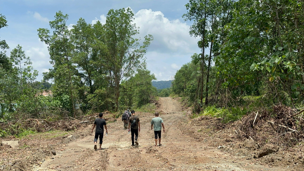 Skandal Lahan Hutan: Kades dan Sekdes di Inhu Terseret Kasus Penjualan Hutan Produksi Terbatas