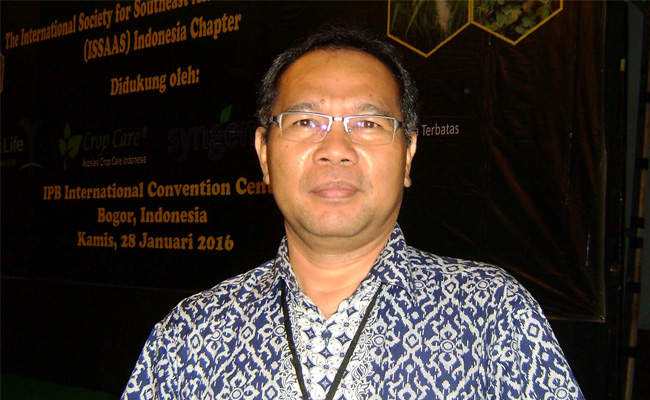 Pro Kontra Penggunaan Bahan Kimia di Perkebunan Sawit