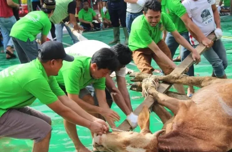 Lapas Kelas II A Pekanbaru Sembelih 16 Hewan Kurban