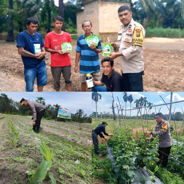 Kapolsek Rengat Barat Turun Langsung Pantau Jagung, Program P2B Terus Diperkuat di Desa