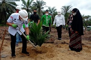 Pemerintah Pusat Tambah Syarat Untuk Petani Sawit Bisa dapat Program PSR