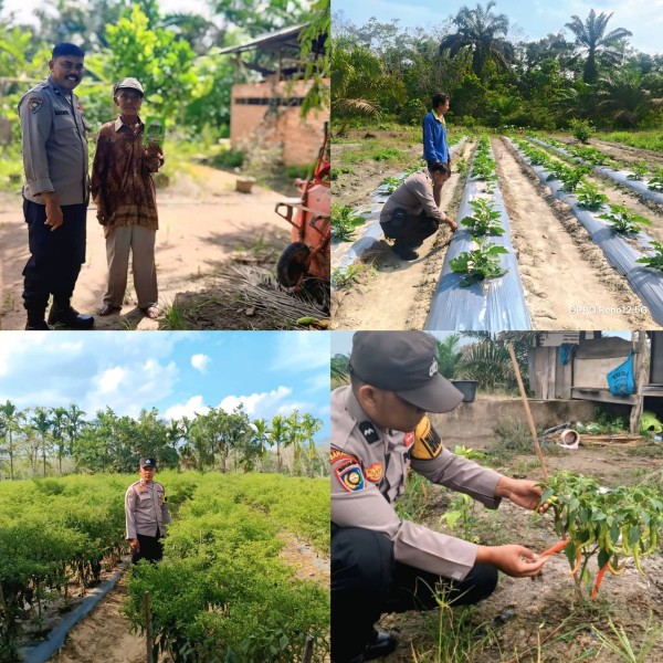Dukung Ketahanan Pangan Nasional, Polsek Rengat Barat Intensif Monitoring Pekarangan Bergizi di Empat Desa