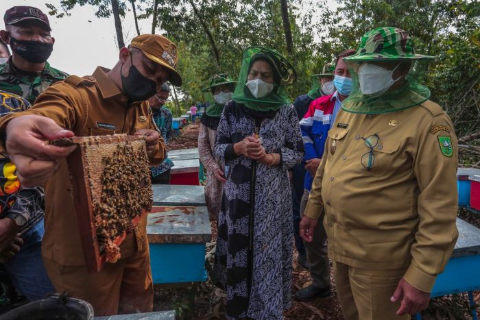 Kunker ke Bengkalis, Wagubri Tinjau Budidaya Lebah Madu