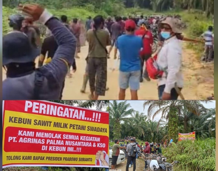 Kebun Sawit Rakyat Diklaim Perusahaan, Ribuan Warga Inhu Melawan