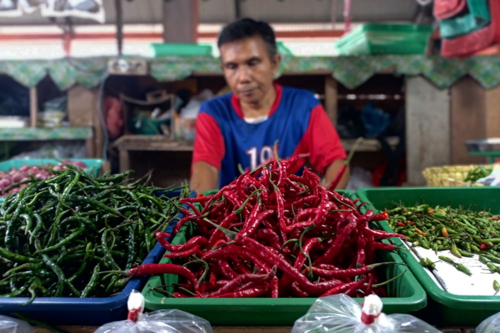 Alhamdulillah, Harga Cabai di Pekanbaru Turun