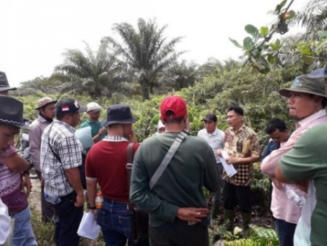 Kebun Sawitnya Terbakar, Perusahaan ini Dihukum Bayar Ganti Rugi Lebih Rp 114 Miliar