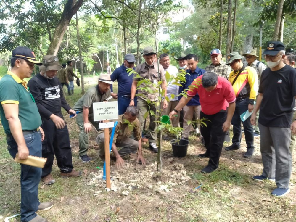 Peringati Hari Rimbawan, 81 Jenis Pohon Endemik dari 9 Provinsi Ditanam di Hutan Kota Pekanbaru