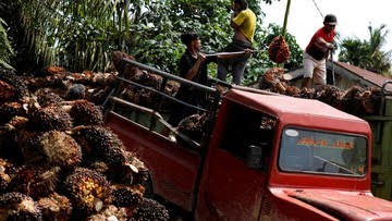 Harga CPO Turun Terus, Harga Minyak Goreng Gimana?