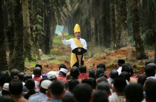 Pak Jokowi Program Peremajaan Sawit di Riau Tahun 2022 Nol Persen Alias Tidak Ada Sama Sekali