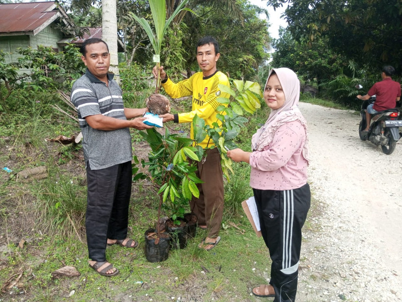 Penanaman Bibit Unggulan di Desa Sungai Golang Diharapkan Tingkatkan Kesejahteraan dan Pendapatan Warga